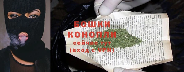 Альфа ПВП Гусев