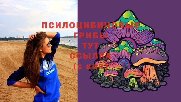гидра Армянск