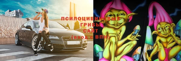 гидра Армянск